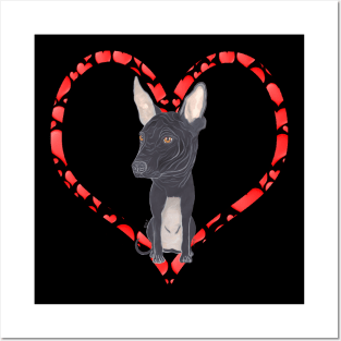 XOLOITZCUINTLE HEART Posters and Art